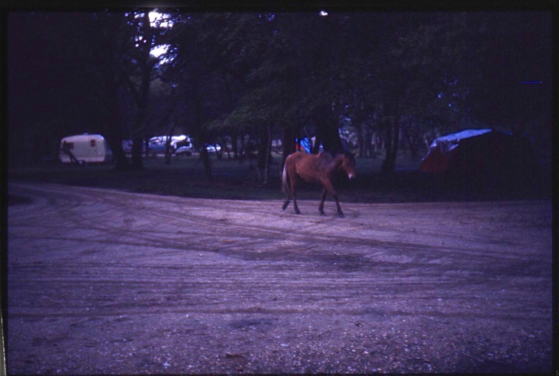 england75reel1-073