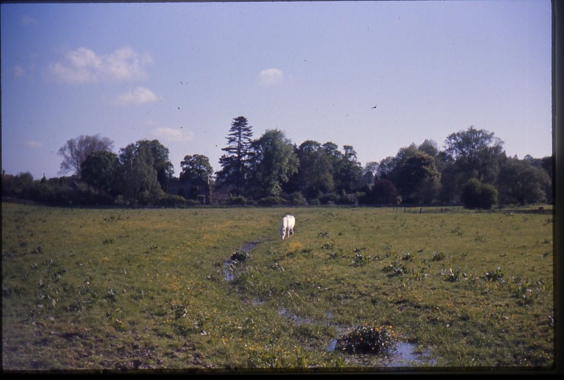 england75reel2-076